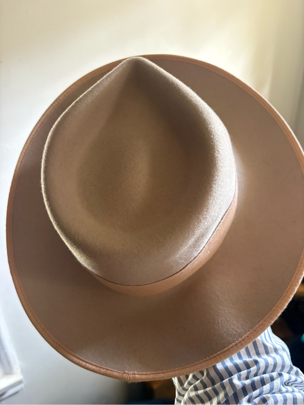 Wide-Brim Felt Fedora Hat in Tan - Unbranded
